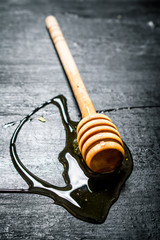 Wooden spoon of sweet natural honey.