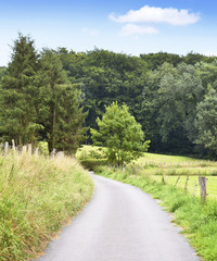 Idyllic country road in the sunset, with copy space and forest. Single lane road through fields and pastures, nature background. 