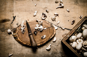 Cutting mushrooms with a knife on an old tree trunk.