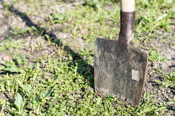 Stabbed shovel into the ground