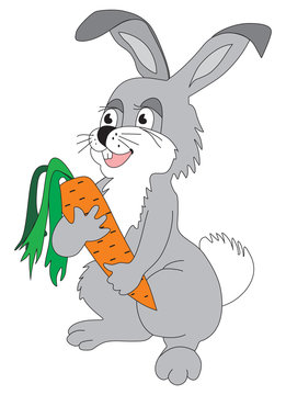 Hare with a carrot