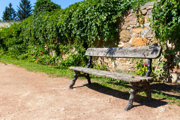 bench in the park