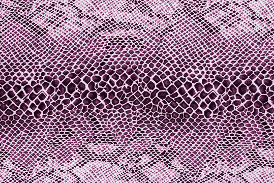 texture of print fabric striped snake leather