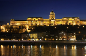 Fototapeta na wymiar Royal Palace in Budapest. Hungary