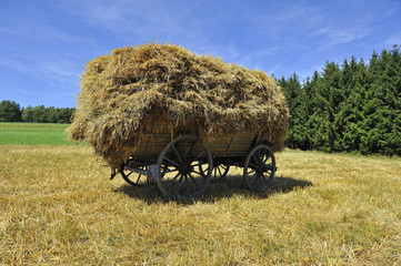 Heuwagen