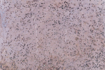 Textura de roca perforada.