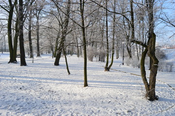 Zimowy park
