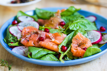 Fototapeta na wymiar Salmon with spinach and pomegranate salad
