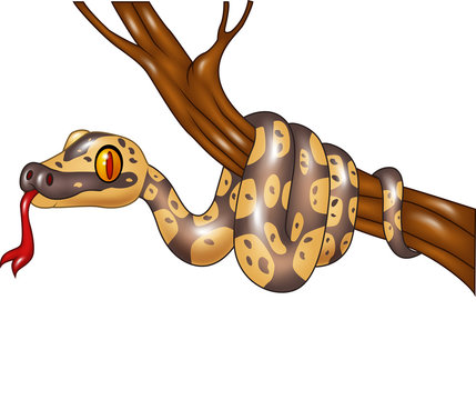 Cartoon snake on a tree branch