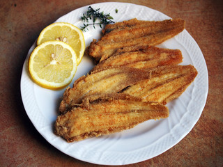 venetian cuisine - Fried Sole with lemon and thyme