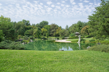 Lake in a green park