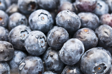 Blaubeeren