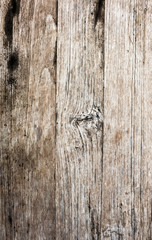 Wood texture background