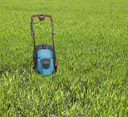 Lawn mower surrounded by high grass.