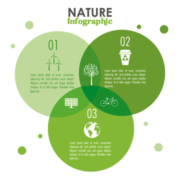 Ecology Infographic design 