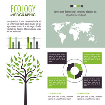 Ecology Infographic design 