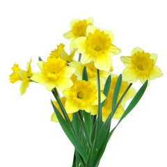 Ostern 83