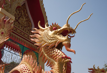 The dragon of buddhism