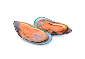New Zealand green mussels on white background