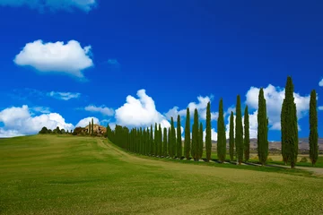 Wall murals Dark blue Villa in Tuscany with cypress road and blue sky with white clouds, idyllic seasonal nature landscape vintage hipster background