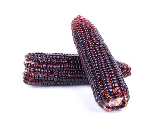 purple corn on white background
