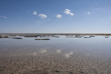 Laguna de agua salada y salar en el desierto de Atacama. Chile