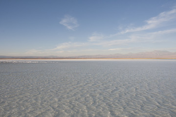 Fototapeta na wymiar Laguna de agua salada y salar en el desierto de Atacama. Chile