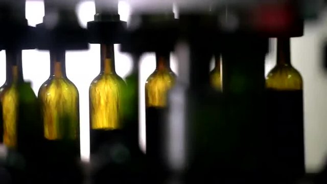 Wine bottle filling along a conveyor belt in a wine bottling factory