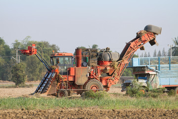 sugarcane harvester and ten-wheel tractor 