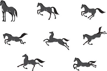 Horses in different poses vector set, isolated on white