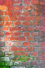 Grungy brick wall painted in orange and green color
