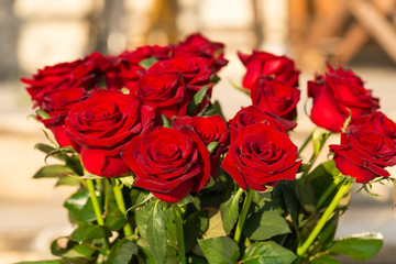 bouquet of blossoming dark red roses