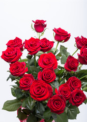 bouquet of blossoming dark red roses