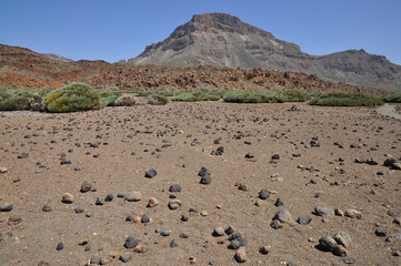guajara, Teide-Nationalpark, Teneriffa