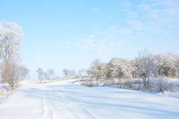 Fototapeta premium Vilage