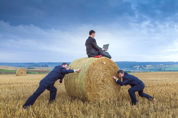 Contemporary businessman farmer in the landscape