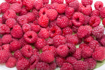 A beautiful selection of freshly picked ripe red raspberries.
