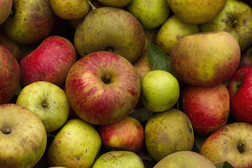 authentic apples