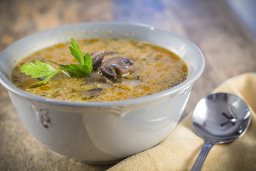 Hungarian Mushroom Soup