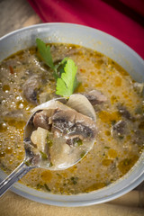 Hungarian Mushroom Soup