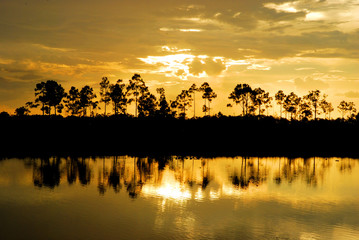 Wetlands Sunset / Sunset in the Florida Wetlands