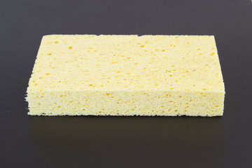 sponge on a black background

