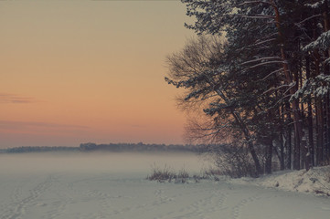 Landscape.sunrise,frozen river, forest,reeds,meadow in morning