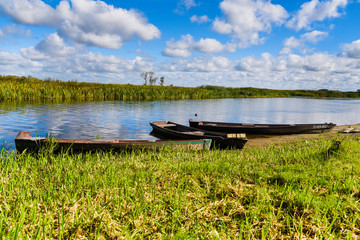 Obraz premium River Biebrza, Podlasie-Poland