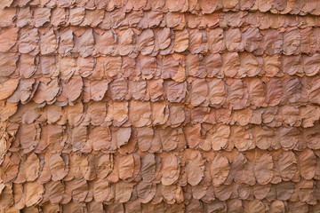 decorative dry leaves on traditional wall