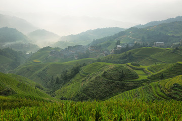Obraz premium Views of green Longji terraced fields and Tiantouzhai village