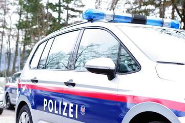 Polizeiauto  © Wellnhofer Designs