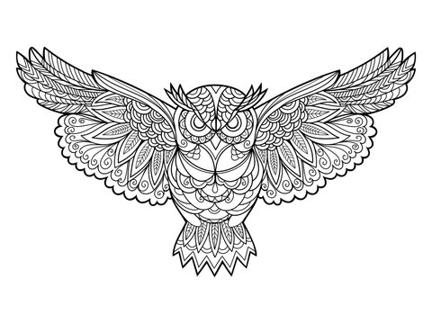 Owl coloring book for adults vector