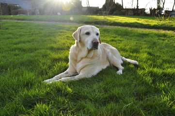 Labrador, coucher de soleil