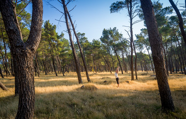 Fototapeta premium Woman doing morning yoga at coniferous forest